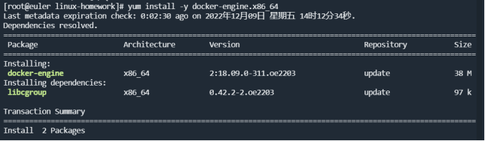 image-20221210150125138